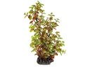 SuperFish Kunstpflanze Rotala, 25 cm