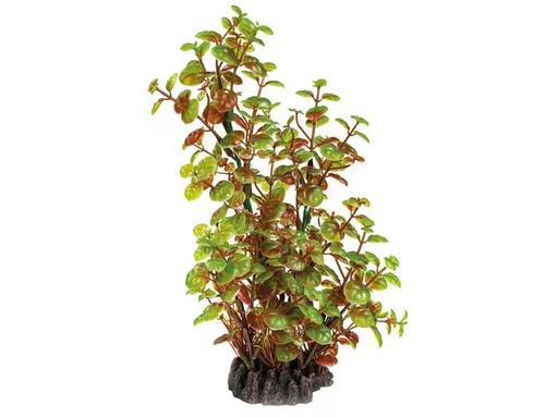 [90349834 1707614] SuperFish Kunstpflanze Rotala, 25 cm