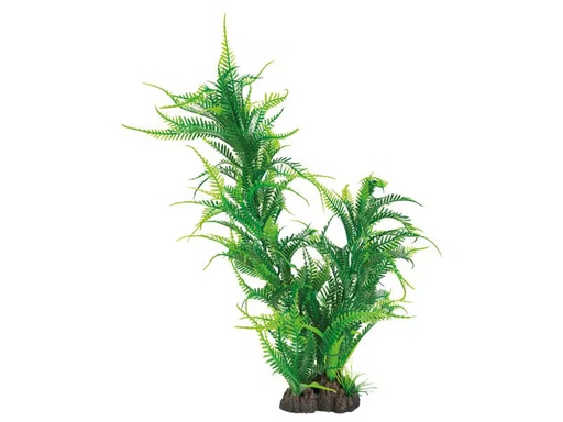 [90349953 1707618] SuperFish Kunstpflanze Microsorum, 40 cm