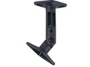 NEOMOUNTS Wandhalterung Speaker-W100 (Set mit 2 Stk.)