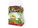 JR Farm Ziervogelfutter Individual Amazone, 950 g