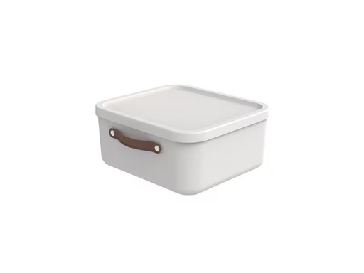 [90353538 1722674] Rotho Aufbewahrungsbox Maloja 20 l, Mistletoe Weiss
