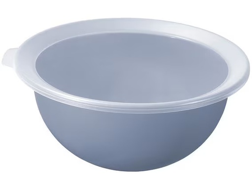 [90353561 1722653] Rotho Schüssel Caruba 1 Stück, Blau