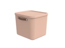 Rotho Aufbewahrungsbox Maloja 40 l, Meadow Rose