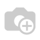 Axis Body Worn Manager Pro 1 Jahr, e-Lizenz