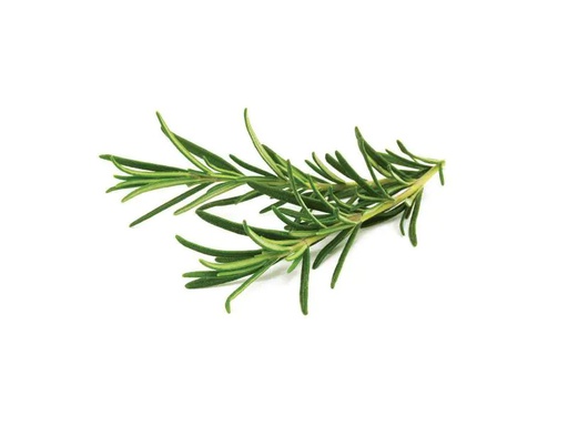 [90062770 996926] Click and Grow Samen Rosmarin