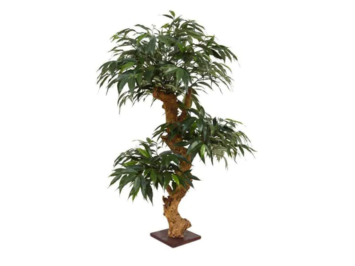 [90063111 1037172] Botanic-Haus Kunstpflanze Bonsai Shirakashi, 80 cm 80 cm