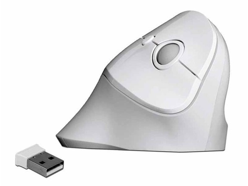 [90065797 967018] Delock Ergonomische Maus 12596 USB kabellos