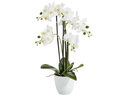 Botanic-Haus Kunstblume Phalenopsis  im Topf, 4 Rispen, Weiss
