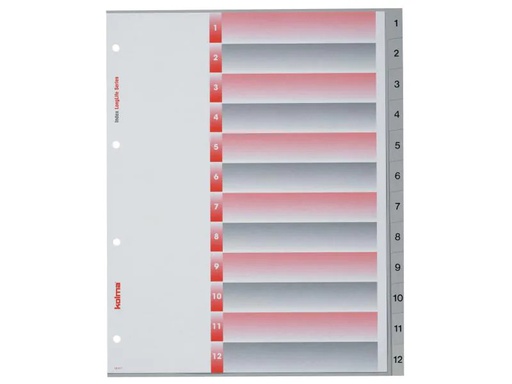 [90069961 830708] Kolma Register A4 XL LongLife 1-12