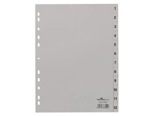 [90070022 750161] DURABLE Register A4 1-12