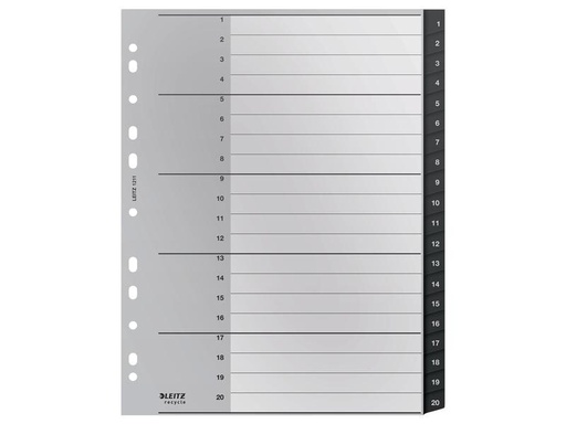 [90071452 1105148] Leitz Register Recycle PC-beschriftbares Register 1-20, A4