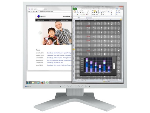 [90073293 478017] EIZO Monitor S1934H Swiss Edition