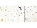 URSUS Bastelpapier Botanica 23 x 33 cm, 35 g/m², 5 Blatt