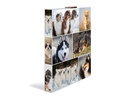 HERMA Ringbuch Hunde 2-Ring 3.5 cm