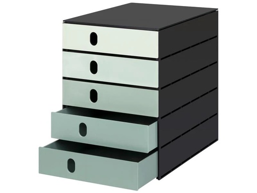 [90076733 1099790] Styro Schubladenbox styroval pro color flow 5 Schubladen, Grün