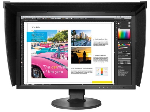 [90076752 461837] EIZO Monitor CG2420 Swiss Edition