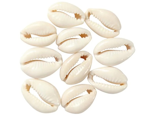 [90078961 931719] Creativ Company Perlen Muscheln, 20 mm, natur, 12 Stk.