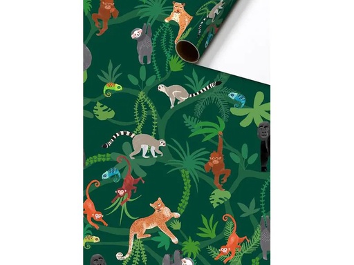 [90079775 1138938] Stewo Geschenkpapier Lauro 1 Stück, Dunkelgrün, 70 cm x 2 m