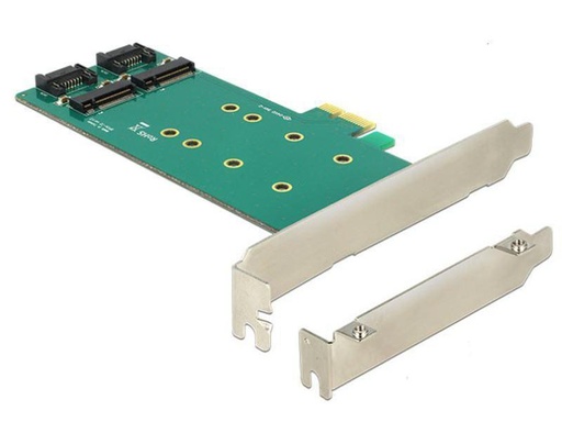 [90089212 454081] Delock Host Bus Adapter Controller PCI-ex4 - M.2, 2Port