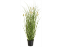 Botanic-Haus Kunstpflanze Fuchsschwanzgras, 46 cm