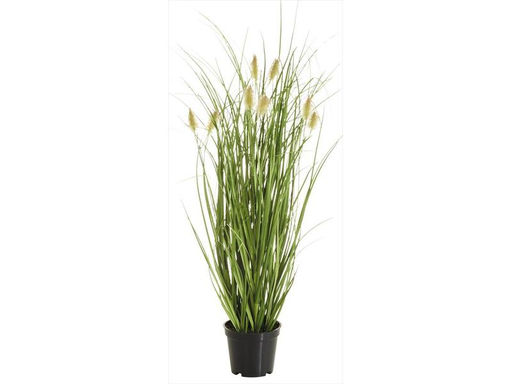 [90095360 1179254] Botanic-Haus Kunstpflanze Fuchsschwanzgras, 46 cm