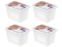 Rotho Vorratsbehälter Domino Dekor 4 Stück, 1 l, Transparent