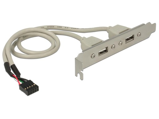 [90098663 846231] Delock Bracket 2x USB2.0 Pin Header intern