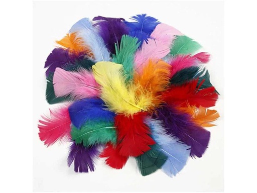[90099013 700936] Creativ Company Federn 50 g Mehrfarbig