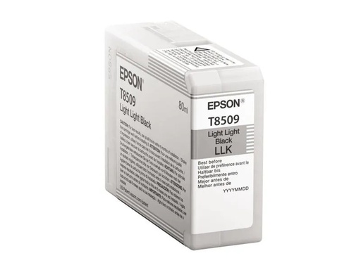 [90099394 362432] Epson Tinte C13T850900